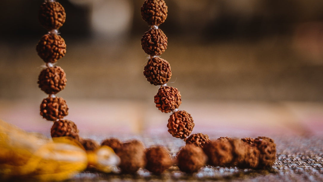 Rudraksha - Die Wunderperle aus dem Himalaya - LAMIVA.de