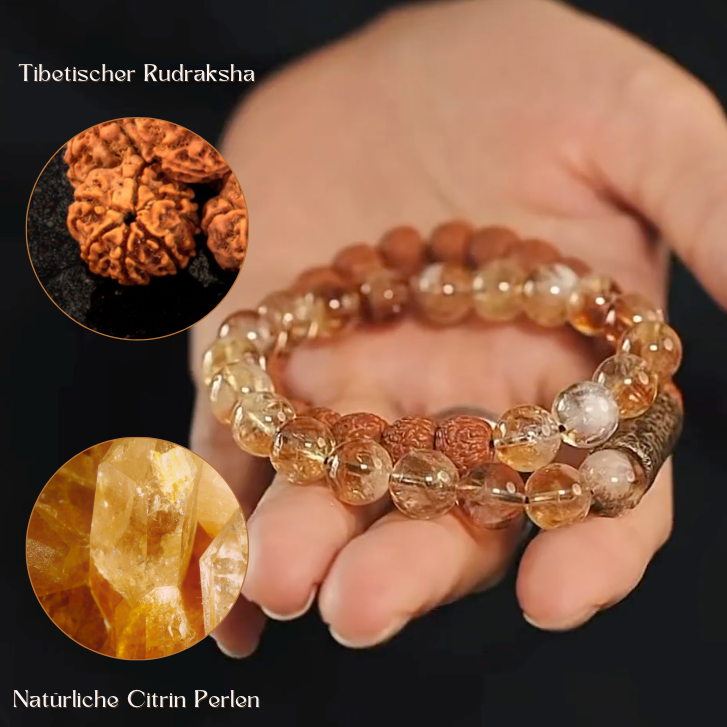 Himalayan Rudraksha Shine - Armband