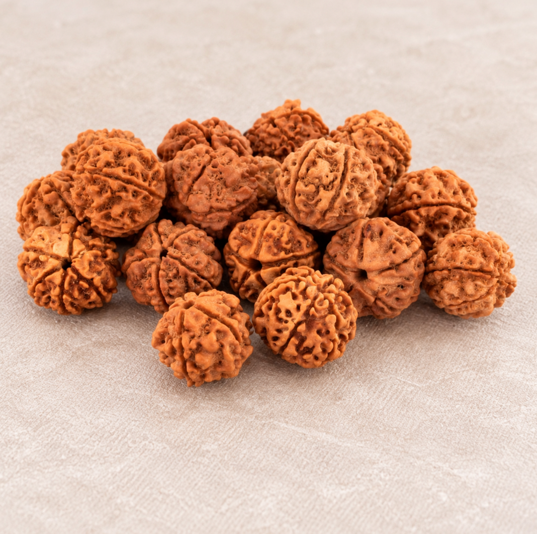Himalayan Rudraksha Shine - Armband